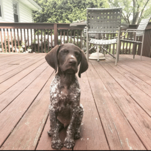 Screenshot_20251026-213336